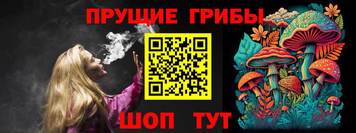 Всеволожск  Галлюциногенные грибы Psilocybe  Вход с VPN  Галлюциногенные грибы мухоморы 