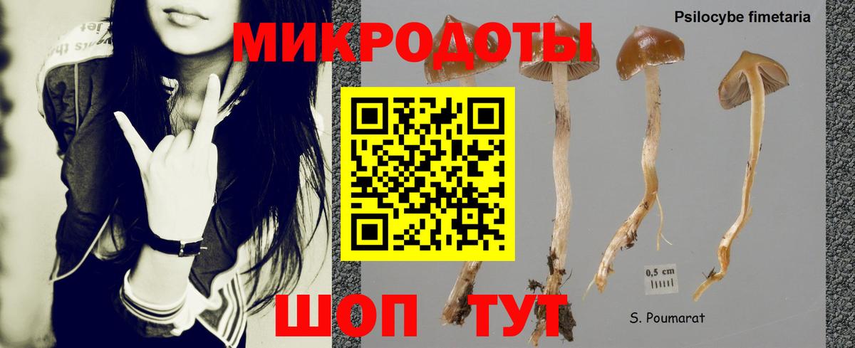 ГАШИШ  Конопля  Всеволожск  Вход с VPN  Меф   Cocaine 